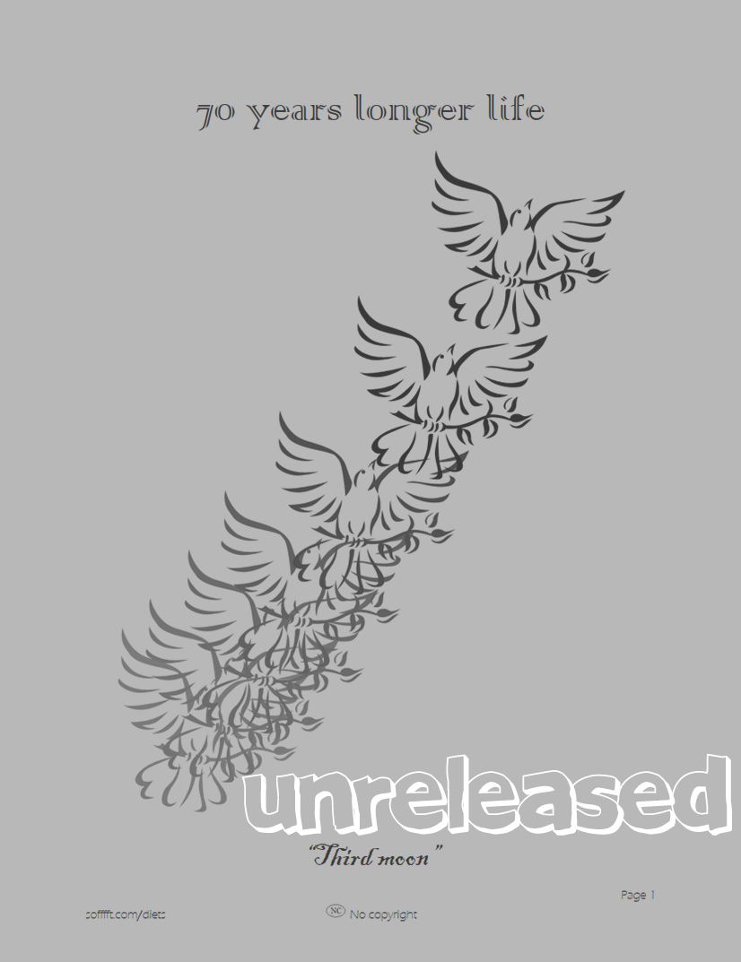 eBook front cover of Third moon