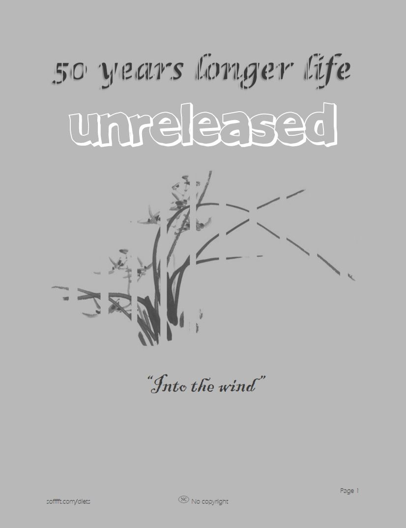 eBook front cover of Into the wind