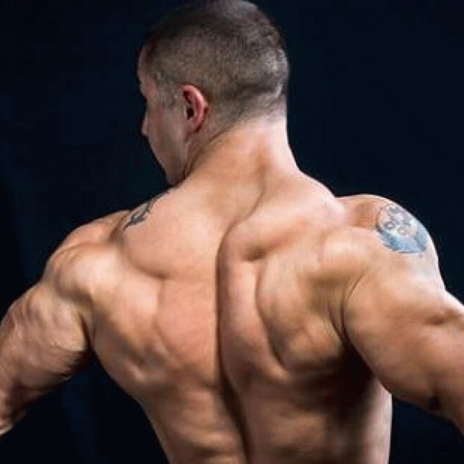 Rear view of a bodybuilders neck