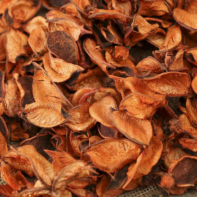 Chinese Jasmine